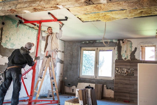 Best Specialized Insulation Services in Drexel Heights, AZ