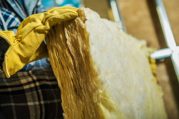 Best Blown-in Insulation in Drexel Heights, AZ