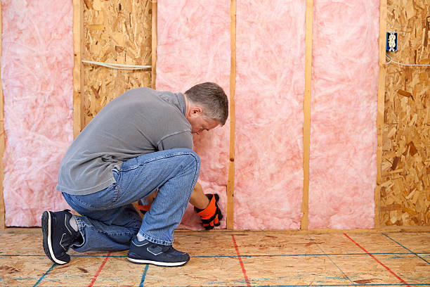 Best Cellulose Insulation in Drexel Heights, AZ