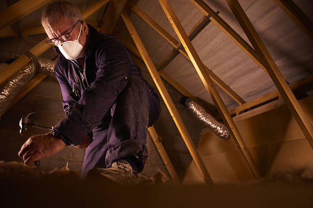 Best Eco-Friendly Insulation in Drexel Heights, AZ